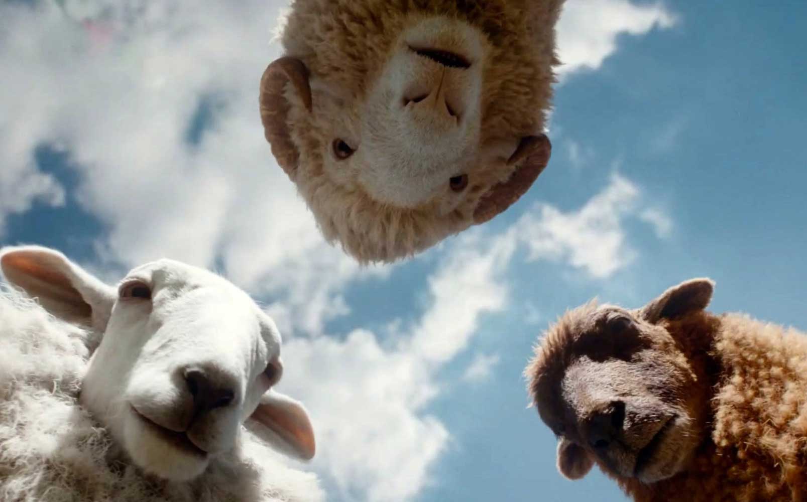 邦楽 meh meh white sheeps / SUPER ROAD MOVIE 0088052-SceneArt-Sheep-