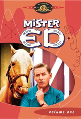 Mister Ed