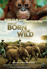 Born to be Wild 