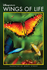  Wings of Life